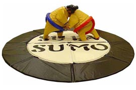 Sumo Wrestling Suits Fermoy